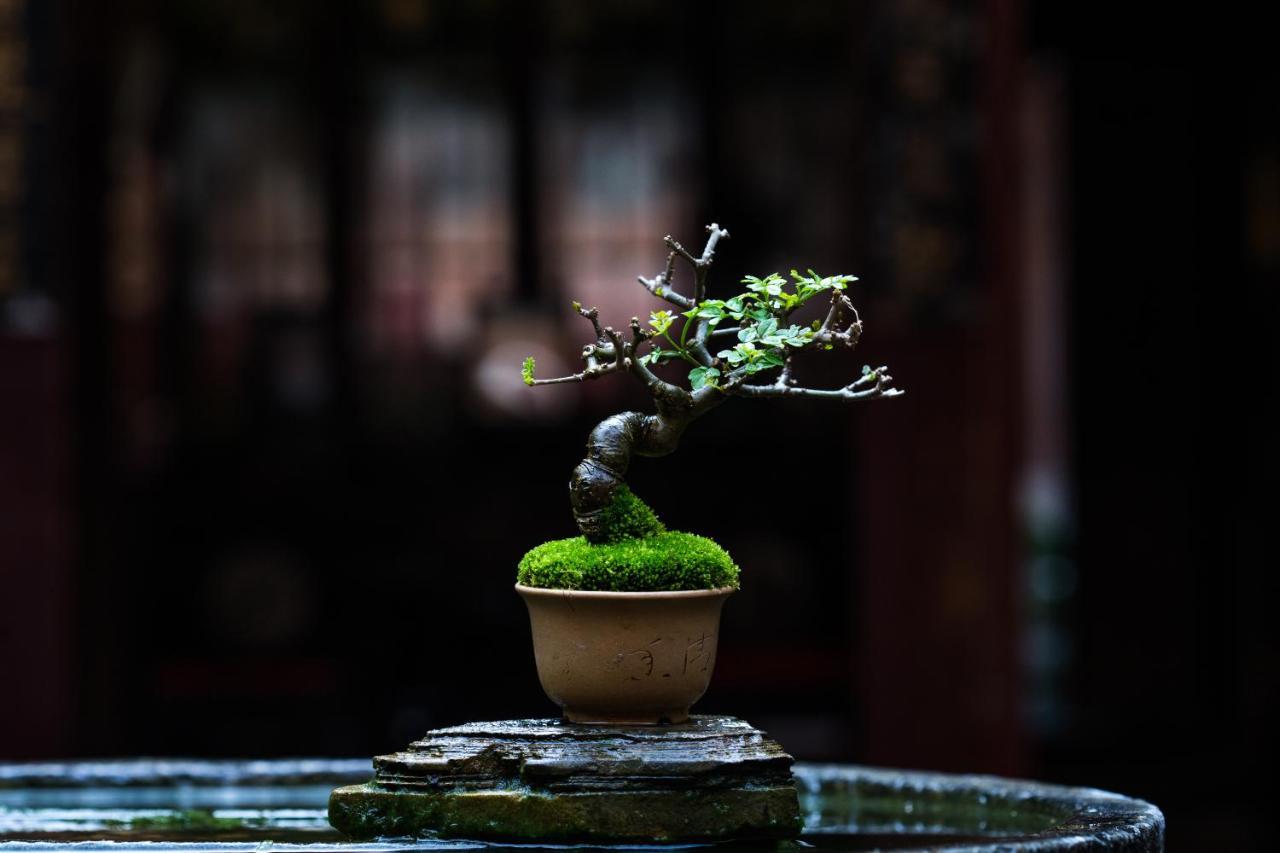 Xiamen Lanqin Gucuo Mansion Exterior foto